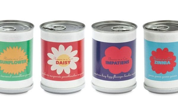 MicroGiardini Popular Flowers