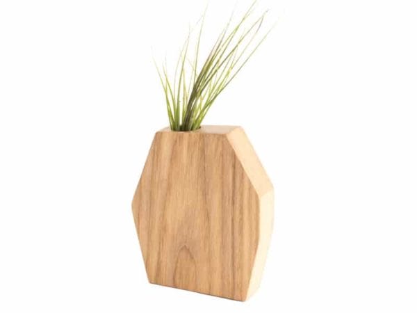 Rene Ash Air Plant Holder