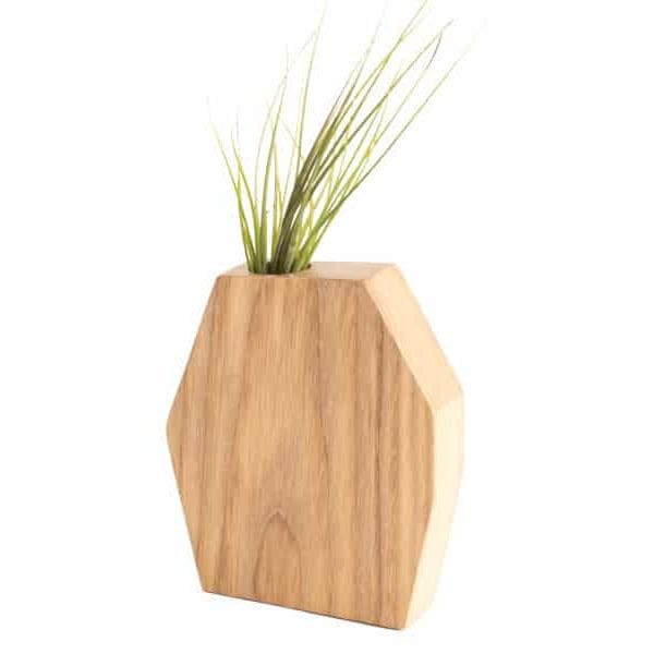 Rene Ash Air Plant Holder
