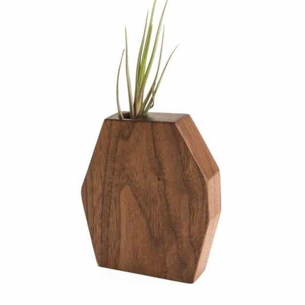 Rene Walnut Air Plant Holder