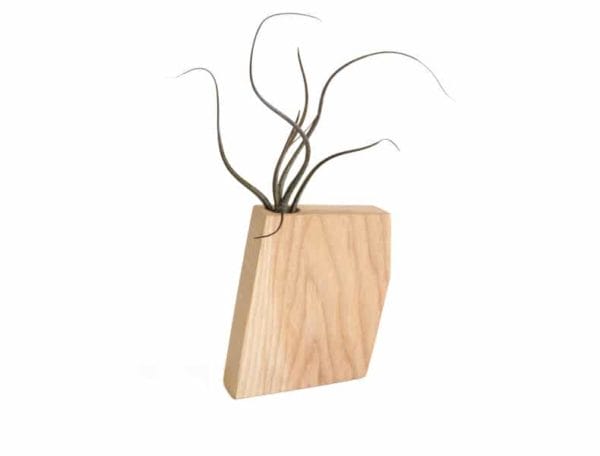 Wyatt Jr Ash Air Plant Holder