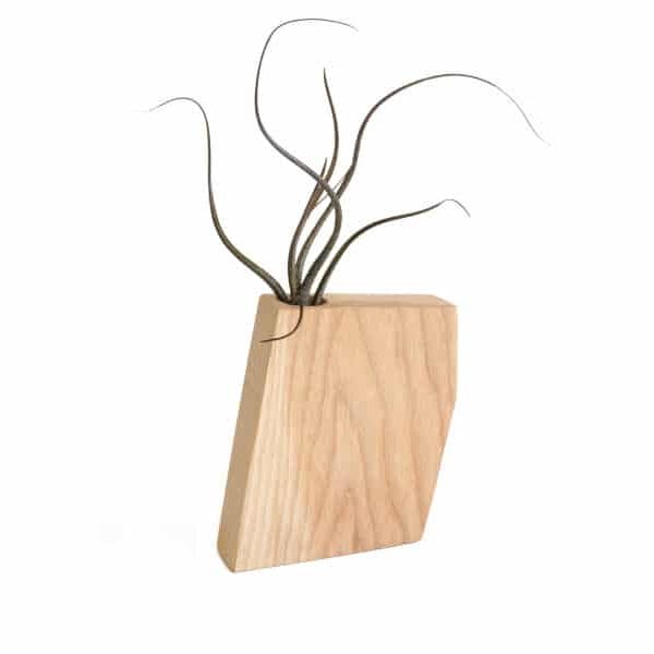 Wyatt Jr Ash Air Plant Holder